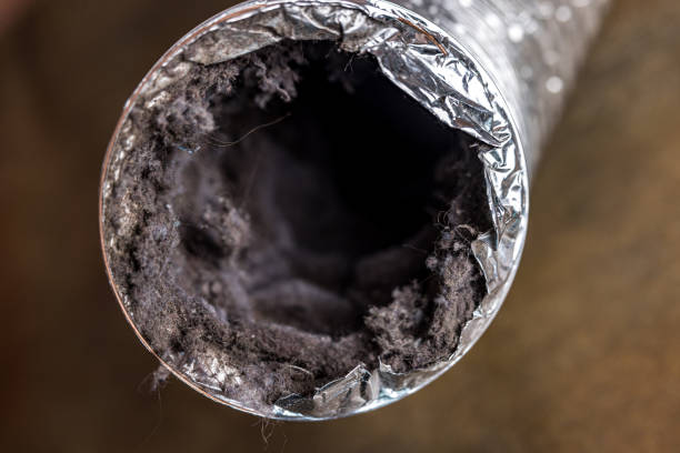Best Ventilation Cleaning Services  in Madrid, IA